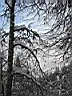 gal/sinaia/munte_1/TN_Rotation of IMG_1304.JPG